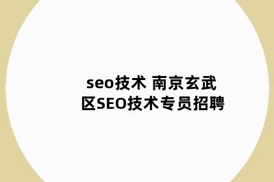 seo技术 南京玄武区SEO技术专员招聘